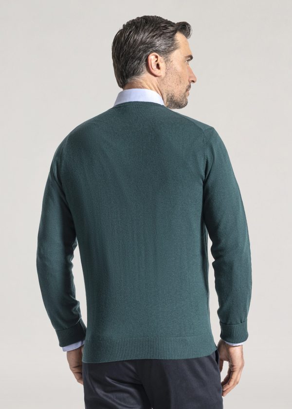 Men's v neck merino sweater in topiary